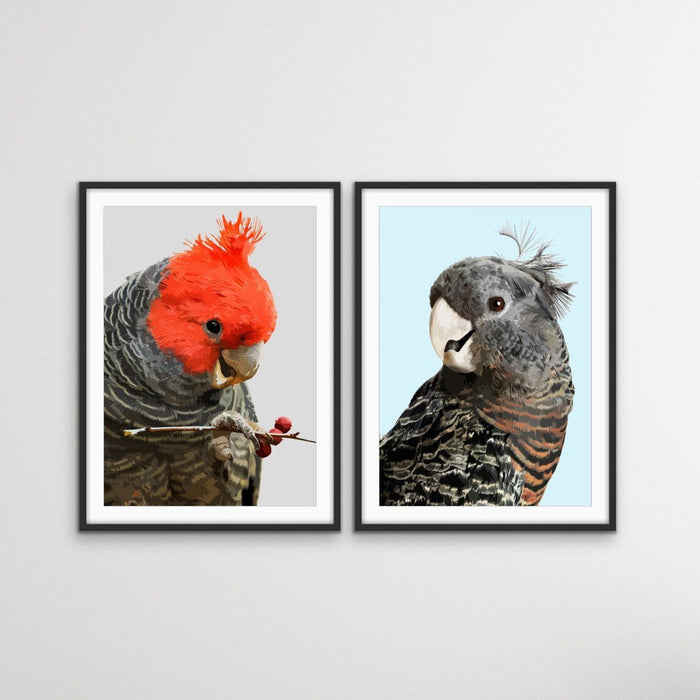 Gang Gang Cockatoos - Two Piece Native Australian Bird Print Set, Wall Art, Ozark Home 