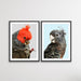 Gang Gang Cockatoos - Two Piece Native Australian Bird Print Set, Wall Art, Ozark Home 