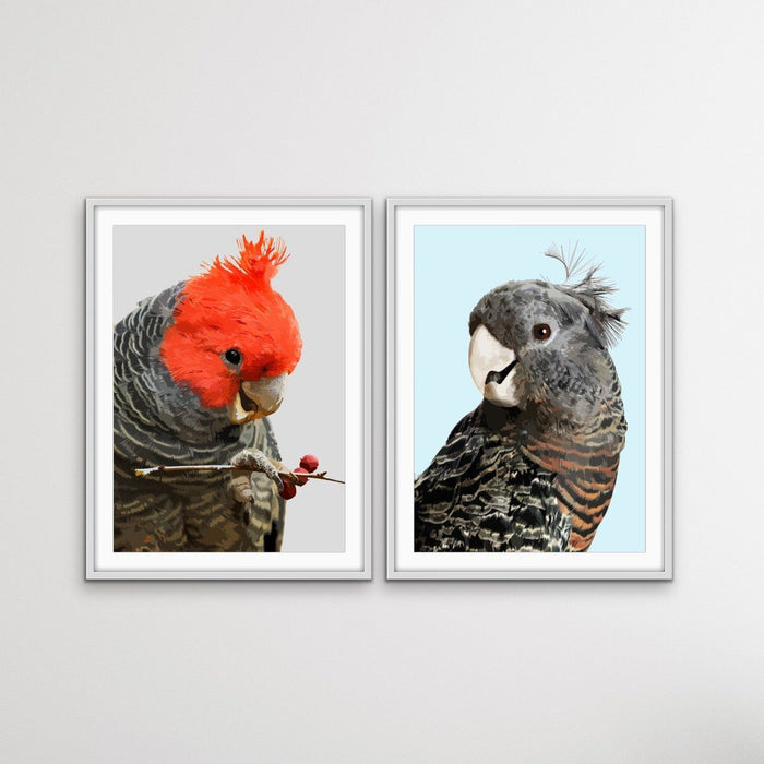 Gang Gang Cockatoos - Two Piece Native Australian Bird Print Set, Wall Art, Ozark Home 