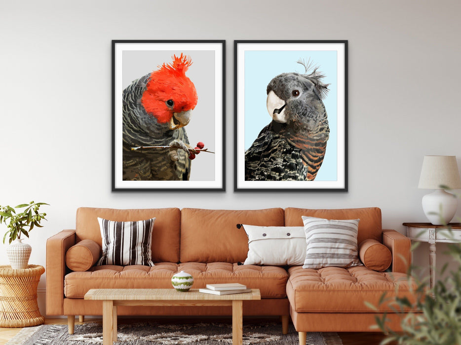 Gang Gang Cockatoos - Two Piece Native Australian Bird Print Set, Wall Art, Ozark Home 