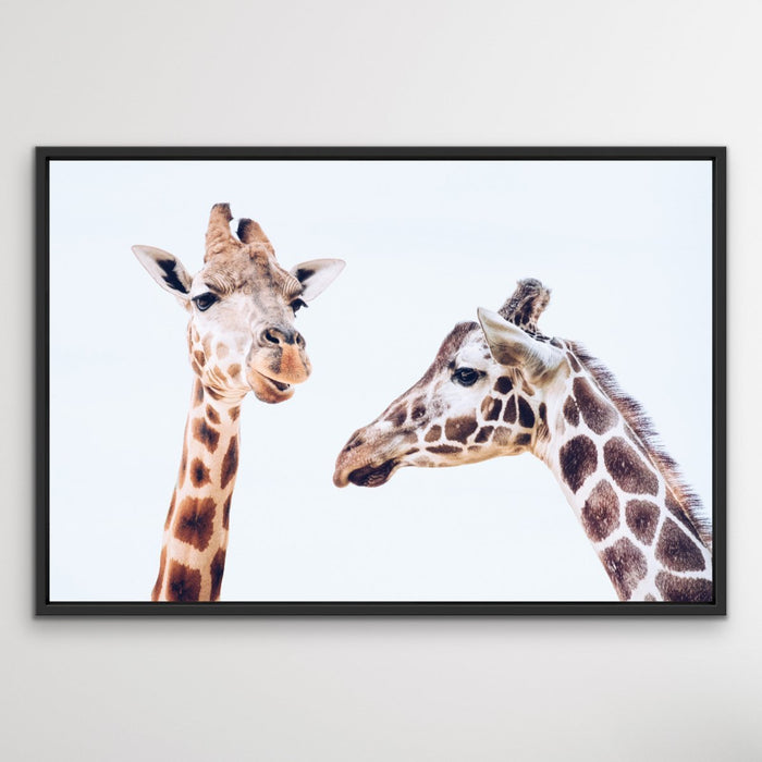 Giraffe Pair - Original Wall Art Print on Canvas Featuring Two Giraffes