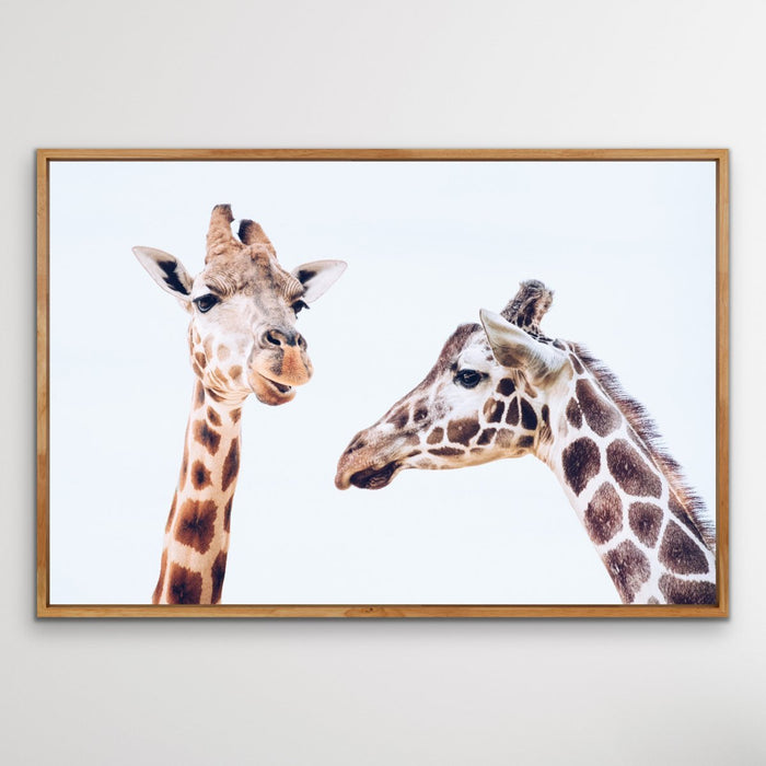 Giraffe Pair - Original Wall Art Print on Canvas Featuring Two Giraffes