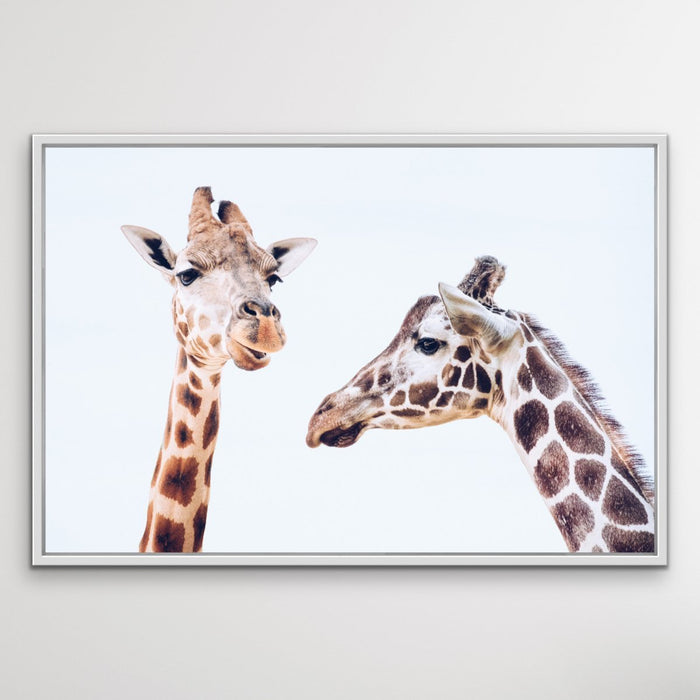 Giraffe Pair - Original Wall Art Print on Canvas Featuring Two Giraffes