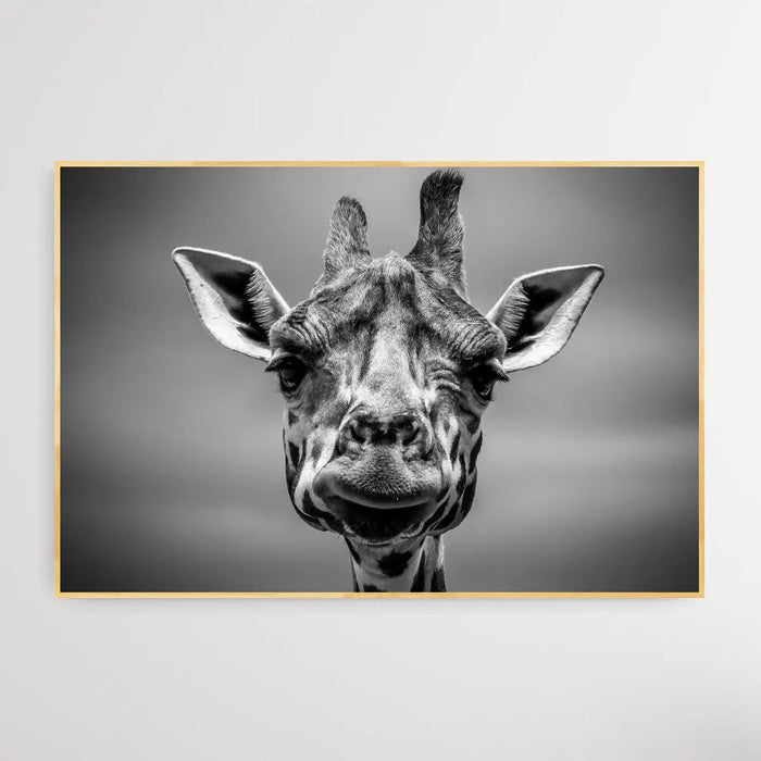 Giraffe in Monotone