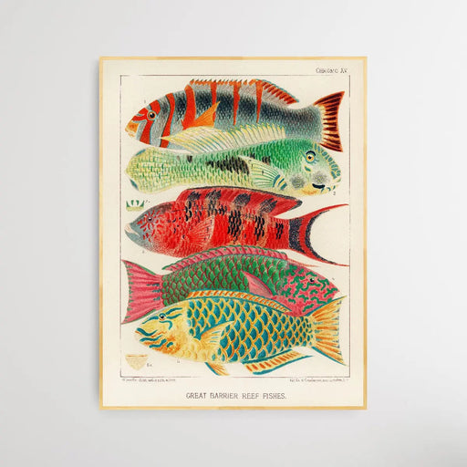 Great Barrier Reef Fishes by William Saville-Kent (1845-1908), Wall Art, Ozark Home 