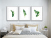 Green Banana Palm Trio - Three Piece Tropical Banana Palm Leaf Print Set, Wall Art, Ozark Home 