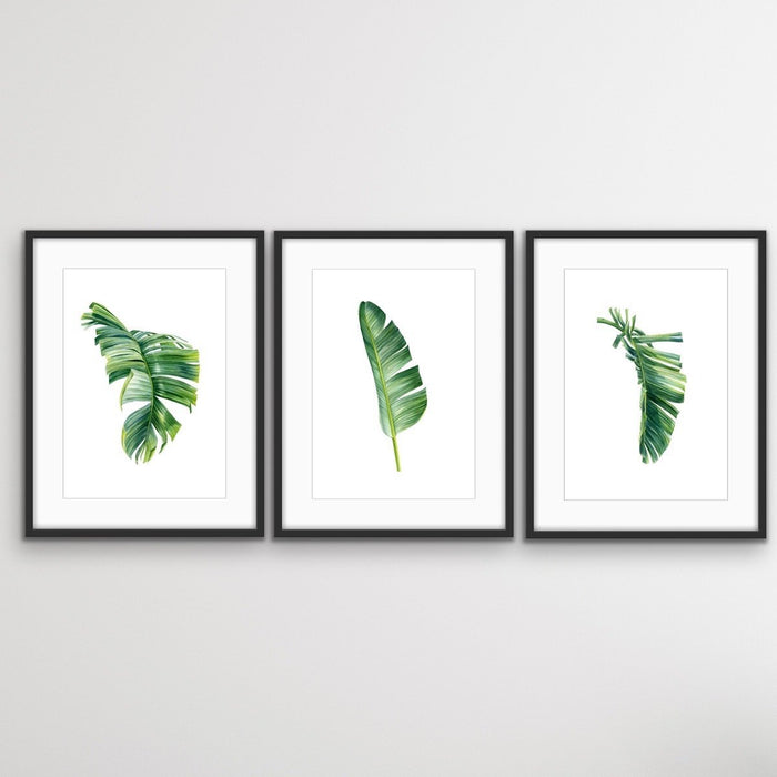 Green Banana Palm Trio - Three Piece Tropical Banana Palm Leaf Print Set, Wall Art, Ozark Home 