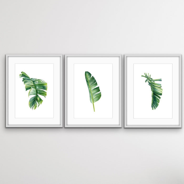 Green Banana Palm Trio - Three Piece Tropical Banana Palm Leaf Print Set, Wall Art, Ozark Home 