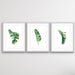 Green Banana Palm Trio - Three Piece Tropical Banana Palm Leaf Print Set, Wall Art, Ozark Home 