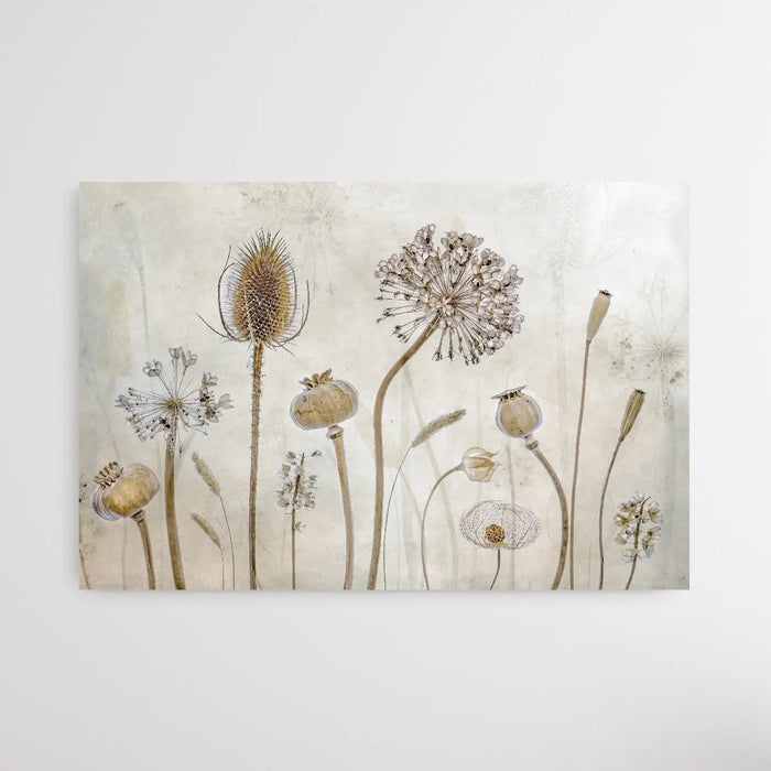 Growing Old by Mandy Disher - Seedpod Neutral Photographic Print, Wall Art, Ozark Home 