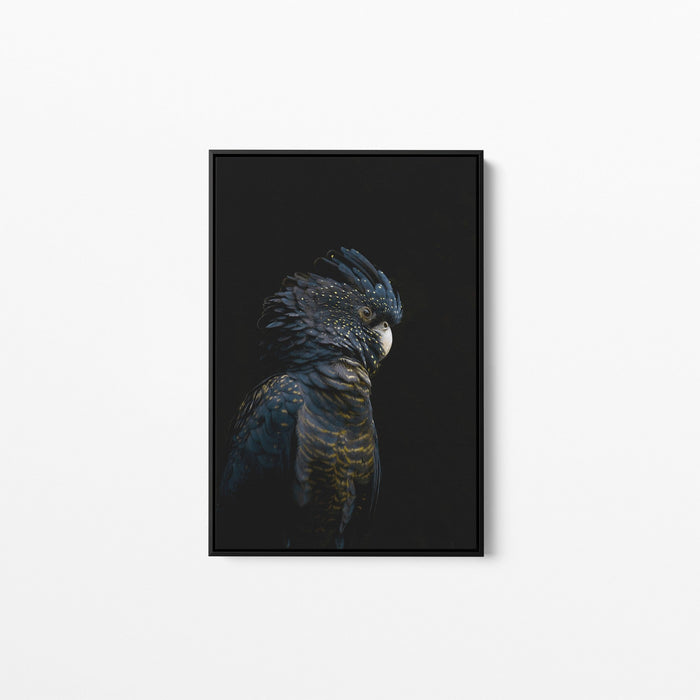 Guardian Black Cockatoo - Art Print Stretched Canvas Wall Art