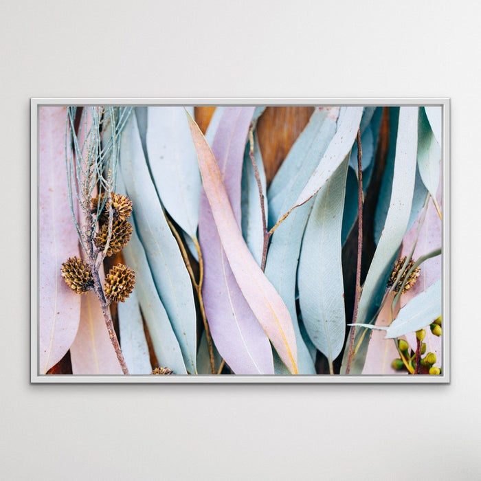 Gum Leaves - Original Pastel Coloured Eucalyptus Gum Leaf Photographic Print