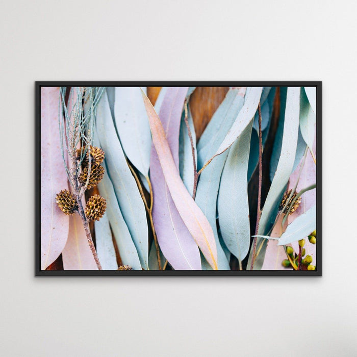 Gum Leaves - Original Pastel Coloured Eucalyptus Gum Leaf Photographic Print