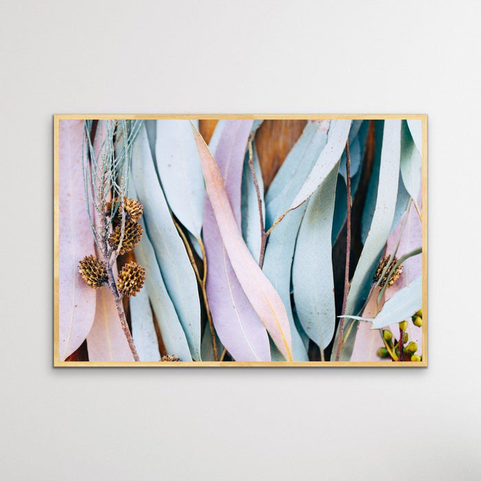 Gum Leaves - Original Pastel Coloured Eucalyptus Gum Leaf Photographic Print