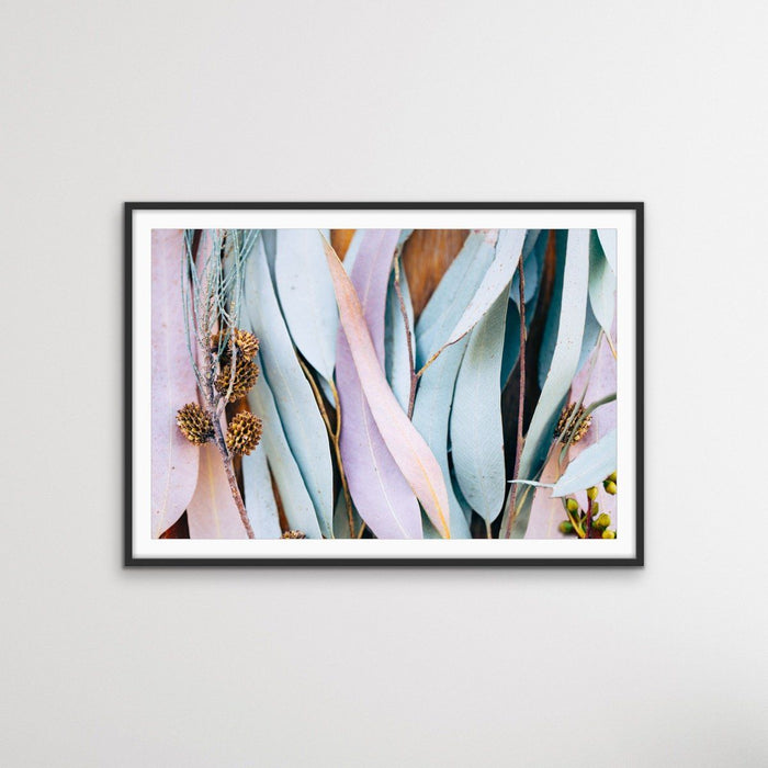 Gum Leaves - Original Pastel Coloured Eucalyptus Gum Leaf Photographic Print