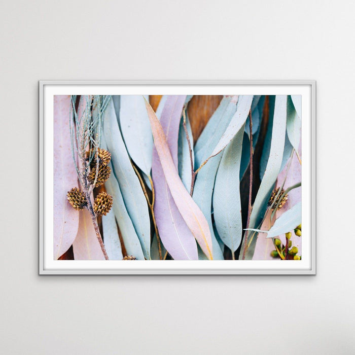 Gum Leaves - Original Pastel Coloured Eucalyptus Gum Leaf Photographic Print