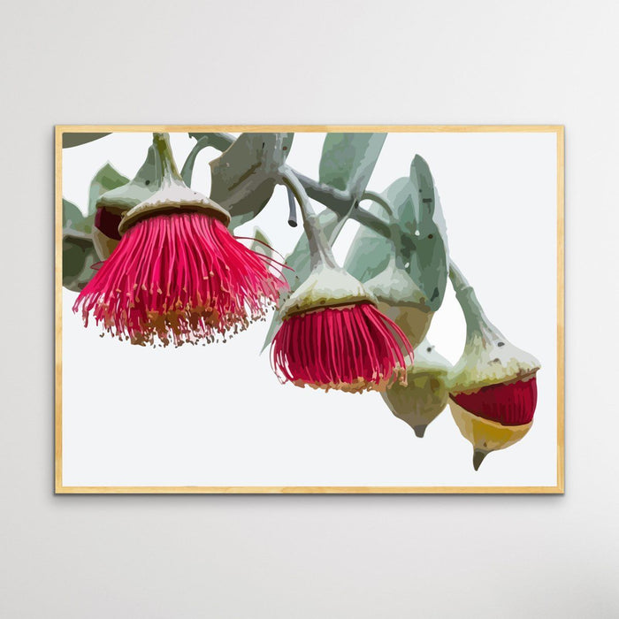 Gumnut Blossoms - Australian Native Flower Original Artwork Canvas or Art Print