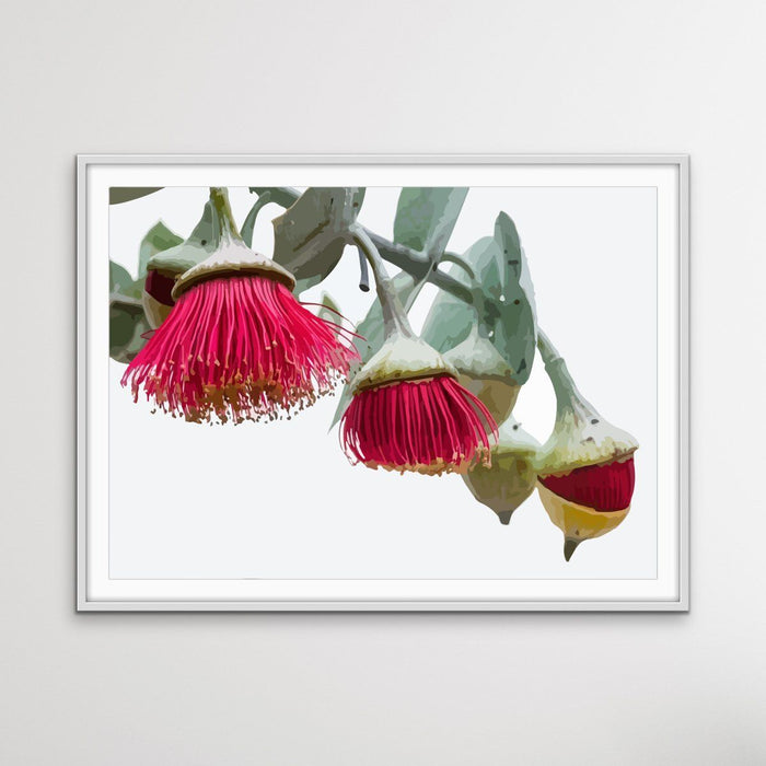 Gumnut Blossoms - Australian Native Flower Original Artwork Canvas or Art Print