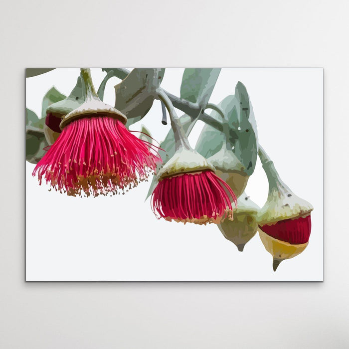 Gumnut Blossoms - Australian Native Flower Original Artwork Canvas or Art Print