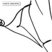 Naked Nude Line Drawing IV - Art Print, Wall Art, Ozark Home 