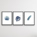 Hamptons Blue Monstera - Three Piece Watercolour Hamptons Blue Print Set, Wall Art, Ozark Home 