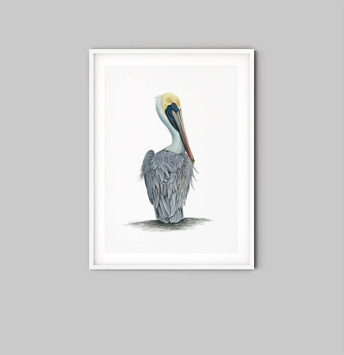 Hamptons Pelican - Watercolour Pelican On A White Backdrop, Wall Art, Ozark Home 