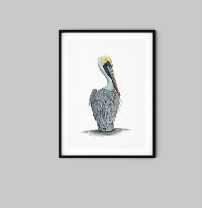 Hamptons Pelican - Watercolour Pelican On A White Backdrop, Wall Art, Ozark Home 