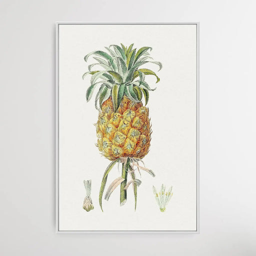 Hand Drawn Pineapple - Vintage Pineapple Print, Wall Art, Ozark Home 