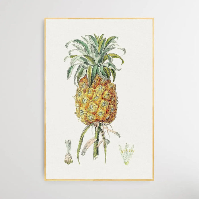 Hand Drawn Pineapple - Vintage Pineapple Print, Wall Art, Ozark Home 