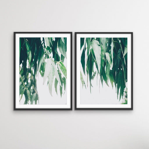 Hanging Branches - Two Piece Eucalyptus Photographic Gum Tree Australian Nature Print Set, Wall Art, Ozark Home 