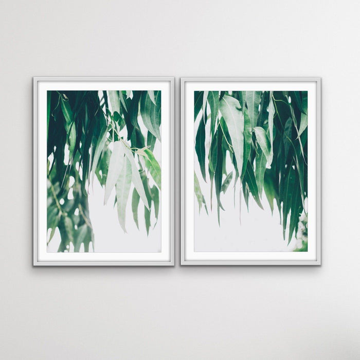 Hanging Branches - Two Piece Eucalyptus Photographic Gum Tree Australian Nature Print Set, Wall Art, Ozark Home 