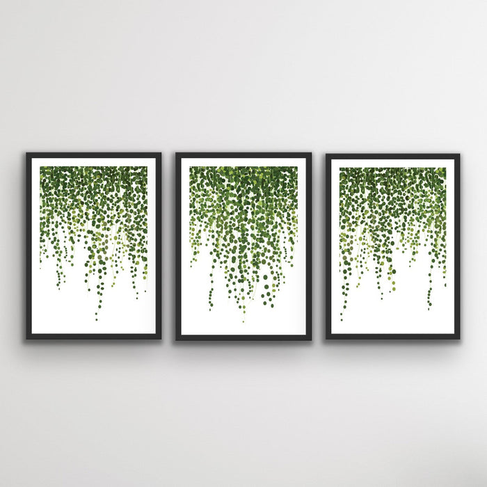 Hanging Ivy - Three Piece Art Print  of Hanging Ivy Wall Art, Wall Art, Ozark Home 