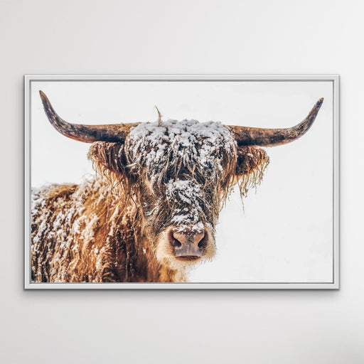 Highland Cow In The Snow - Canvas and Paper Photographic Wall Art Print, Wall Art, Ozark Home 