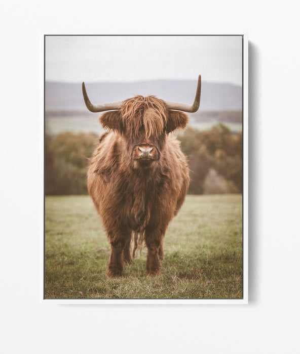 Highlander The Second - Highland Cow Stretched Canvas Wall Art Print