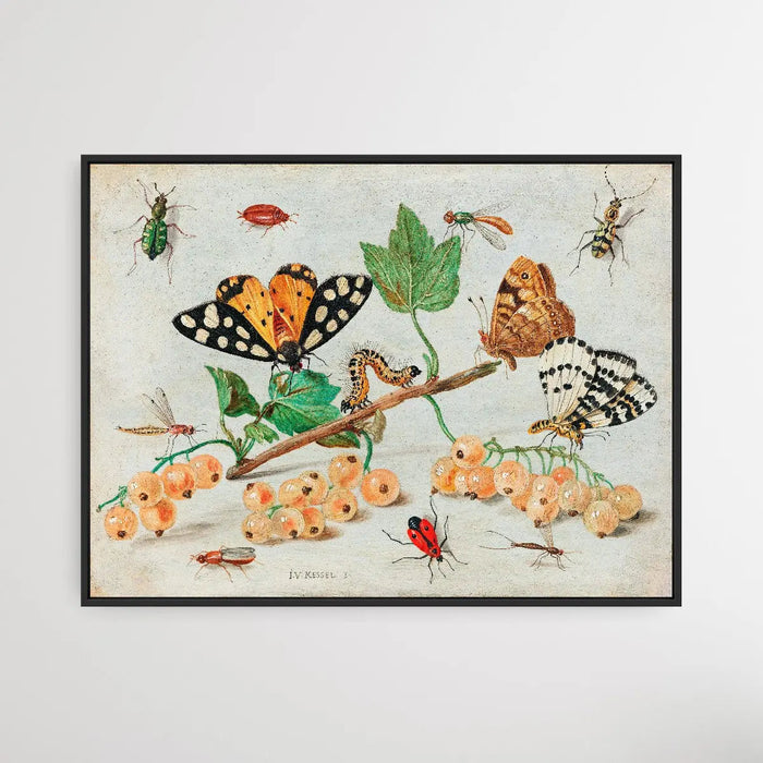 Insects and Fruits (1660-1665) by Jan van Kessel