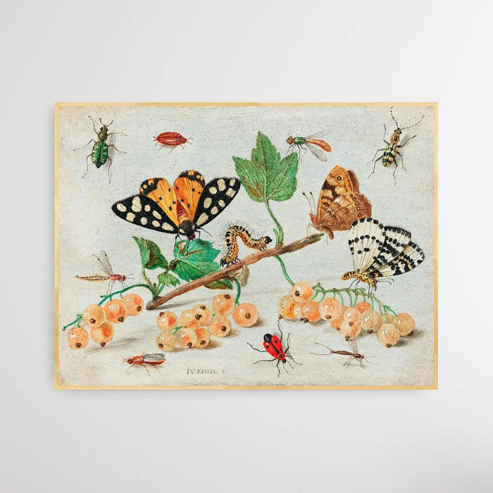 Insects and Fruits (1660-1665) by Jan van Kessel