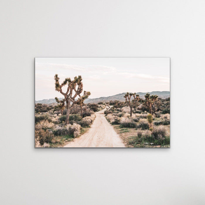 Joshua Tree - Desert Photographic Print With Cactus