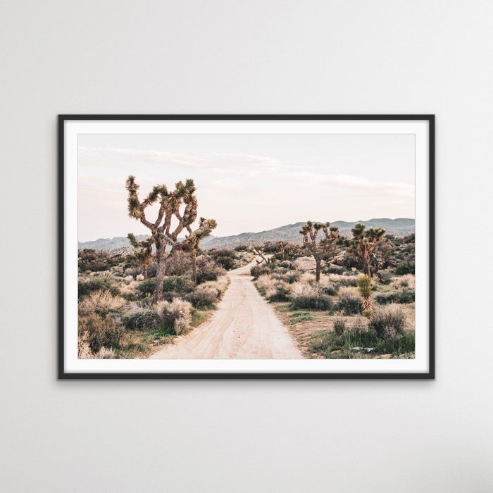 Joshua Tree - Desert Photographic Print With Cactus