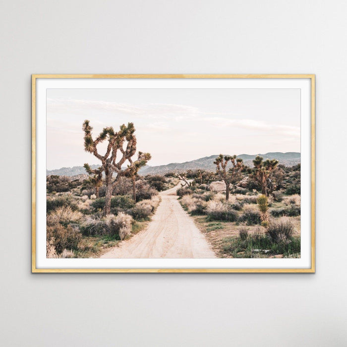 Joshua Tree - Desert Photographic Print With Cactus