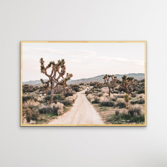 Joshua Tree - Desert Photographic Print With Cactus