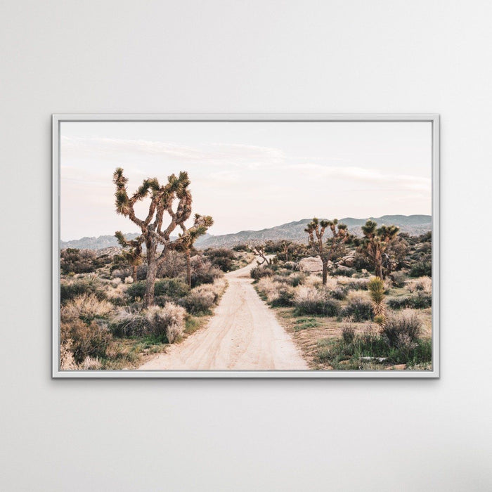 Joshua Tree - Desert Photographic Print With Cactus