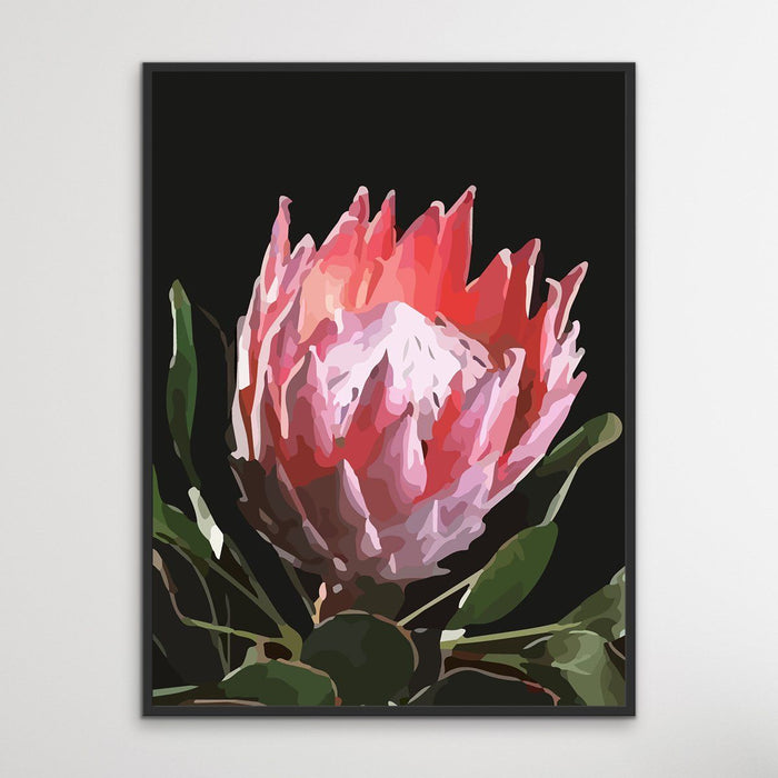 King Of The Blooms - Protea Floral Print on Canvas or Paper