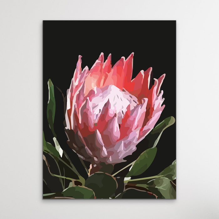 King Of The Blooms - Protea Floral Print on Canvas or Paper