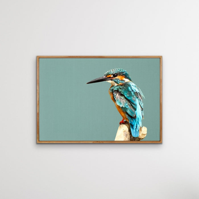 Kingfisher- Turquoise Australian Bird Canvas And Art Print, Wall Art, Ozark Home 