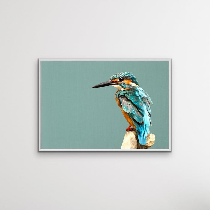 Kingfisher- Turquoise Australian Bird Canvas And Art Print, Wall Art, Ozark Home 