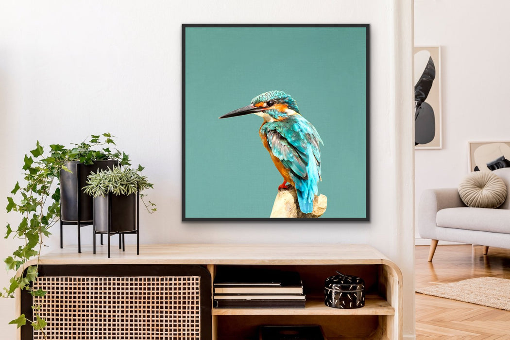 Kingfisher In Square - Turquoise Kingfisher Framed Canvas Print Wall Art, Wall Art, Ozark Home 