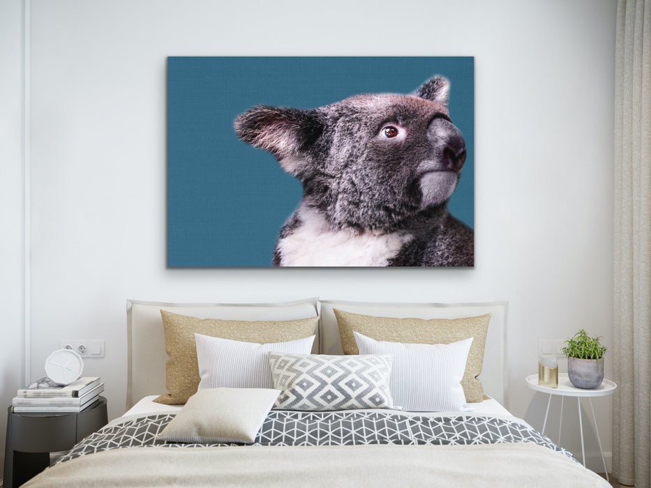 Koala Blue - Koala On Blue Linen Background Stretched Canvas or Art Print