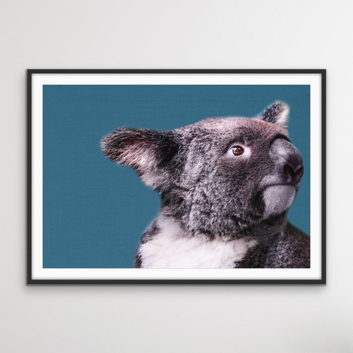 Koala Blue - Koala On Blue Linen Background Stretched Canvas or Art Print