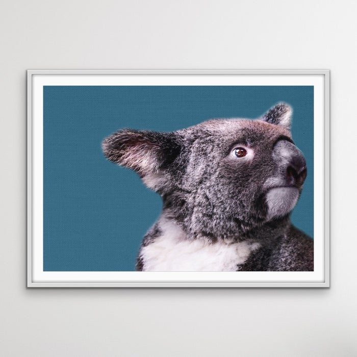 Koala Blue - Koala On Blue Linen Background Stretched Canvas or Art Print