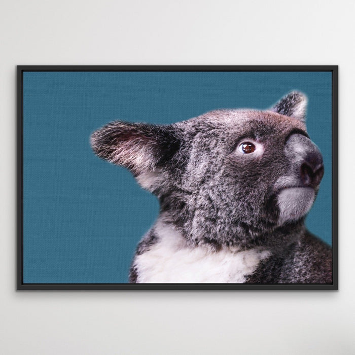 Koala Blue - Koala On Blue Linen Background Stretched Canvas or Art Print